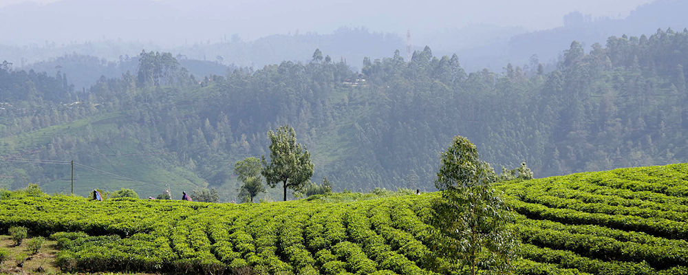 Sri Lanka